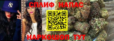 spice Будённовск