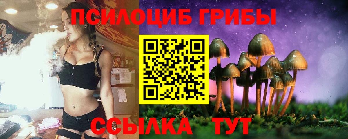 Галлюциногенные грибы Psilocybine cubensis  Псилоцибиновые грибы Psilocybe  Вход с VPN  где купить наркоту  Сызрань 